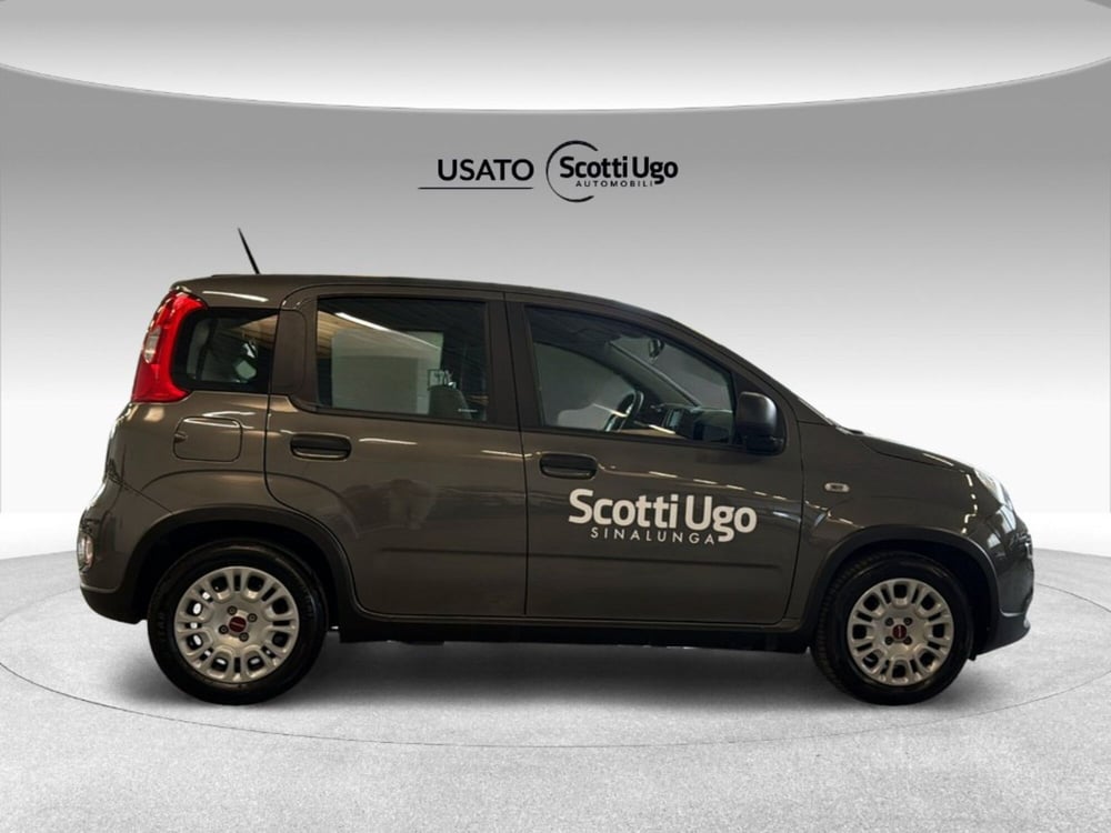 Fiat Panda usata a Siena (8)