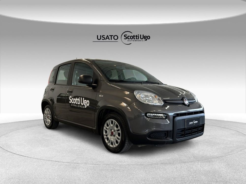 Fiat Panda usata a Siena (9)