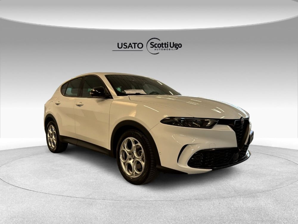 Alfa Romeo Tonale usata a Siena (8)