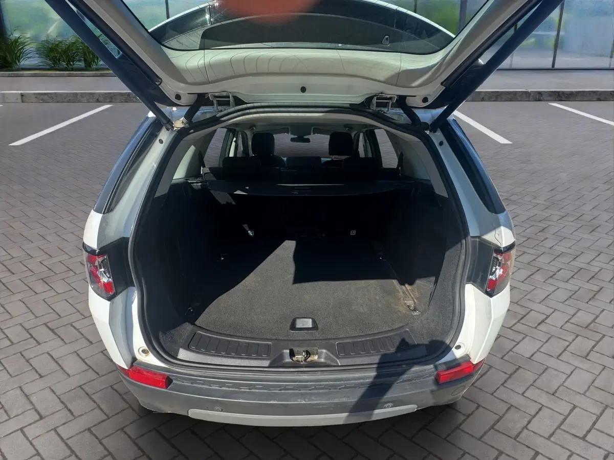 Land Rover Discovery Sport usata a Cosenza (20)
