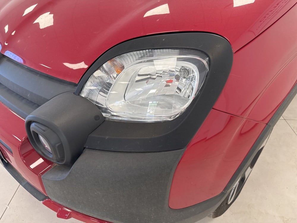 Fiat Panda Cross usata a Palermo (4)