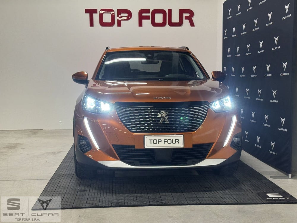 Peugeot 2008 usata a Cuneo (2)