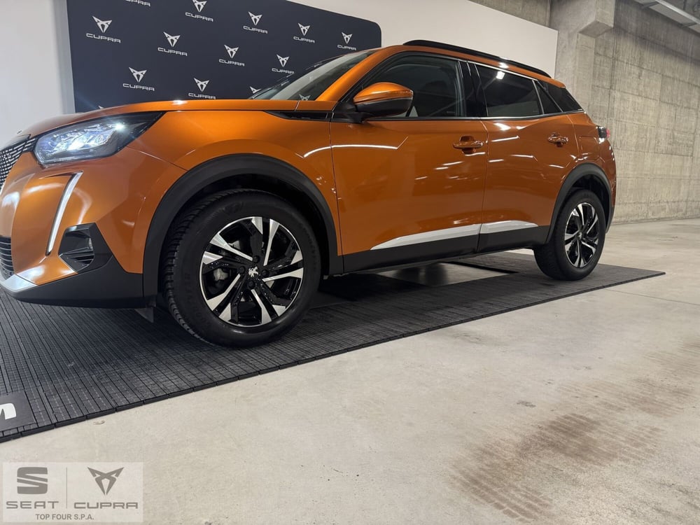 Peugeot 2008 usata a Cuneo (8)