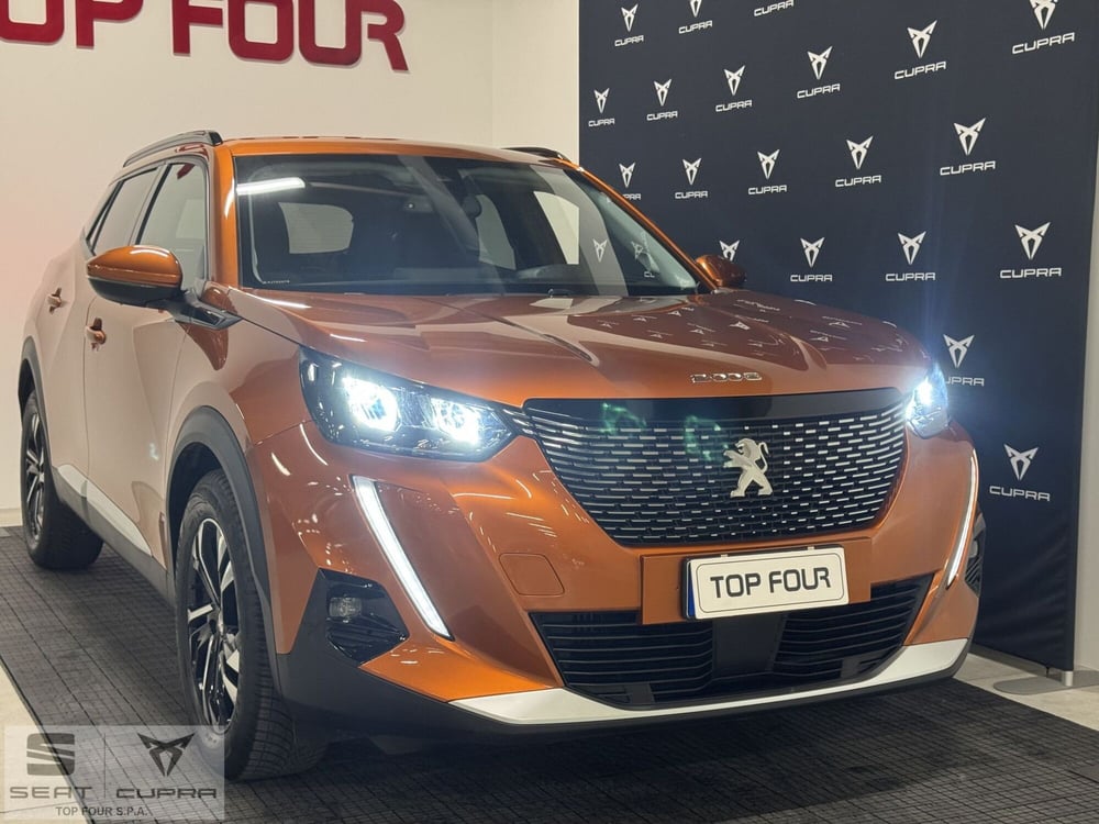 Peugeot 2008 usata a Cuneo (9)