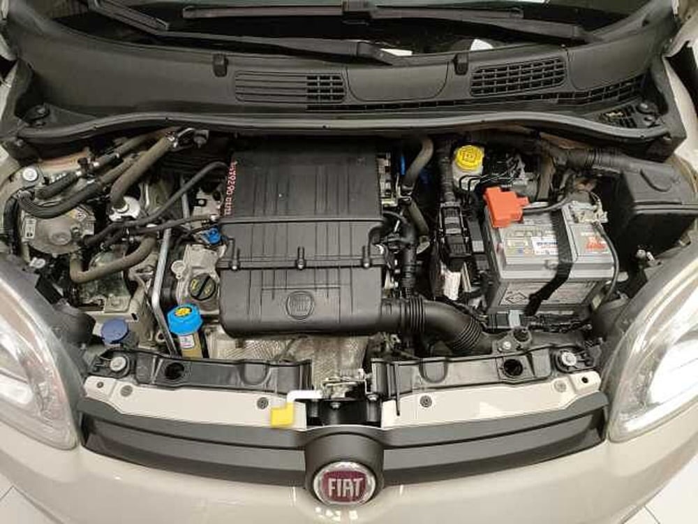 Fiat Panda usata a Teramo (10)