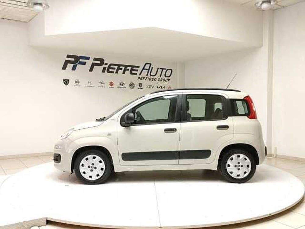Fiat Panda usata a Teramo (2)