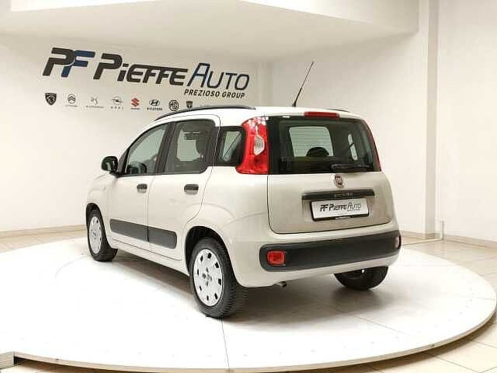 Fiat Panda usata a Teramo (3)