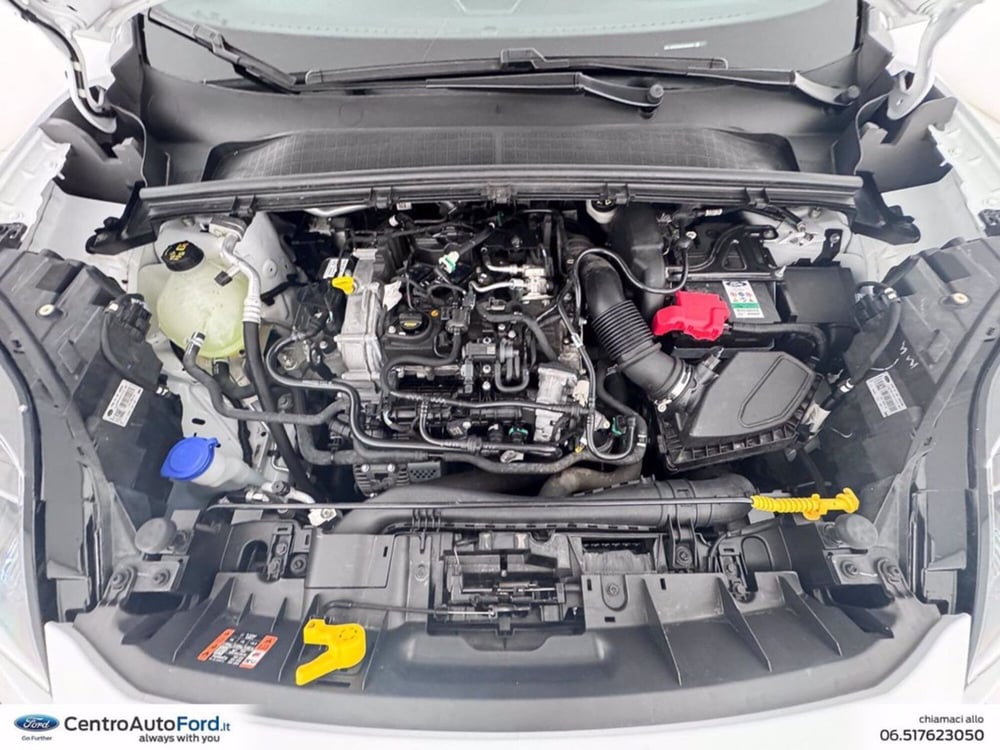 Ford Puma usata a Roma (12)
