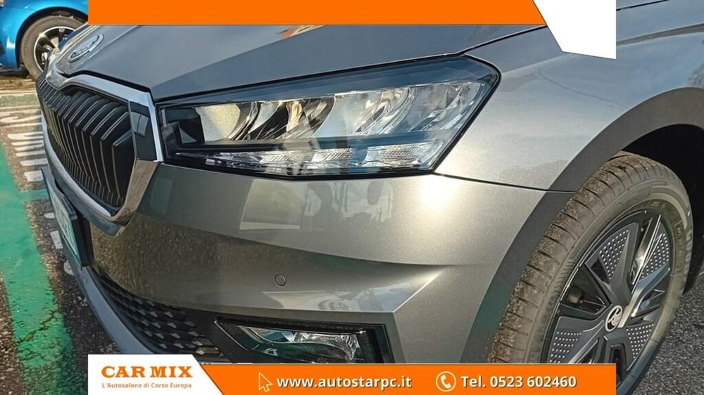 Skoda Fabia usata a Piacenza (14)