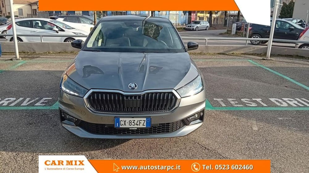 Skoda Fabia usata a Piacenza (2)