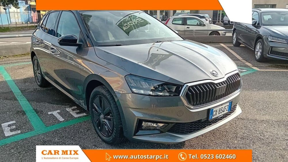 Skoda Fabia usata a Piacenza (3)