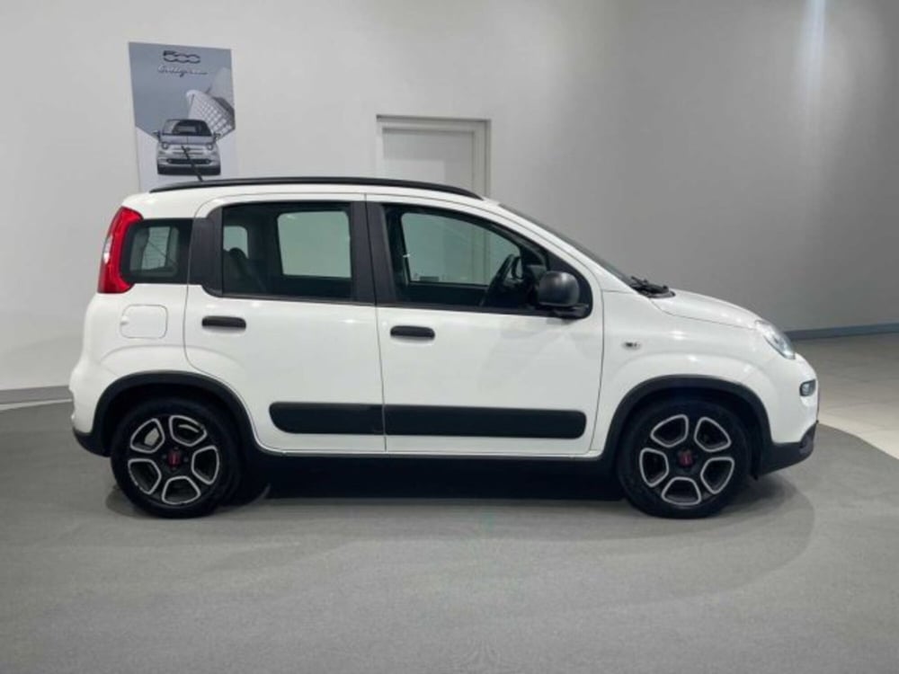 Fiat Panda usata a Sondrio (2)