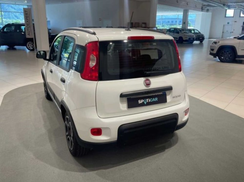 Fiat Panda usata a Sondrio (5)