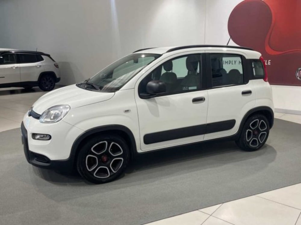 Fiat Panda usata a Sondrio (6)