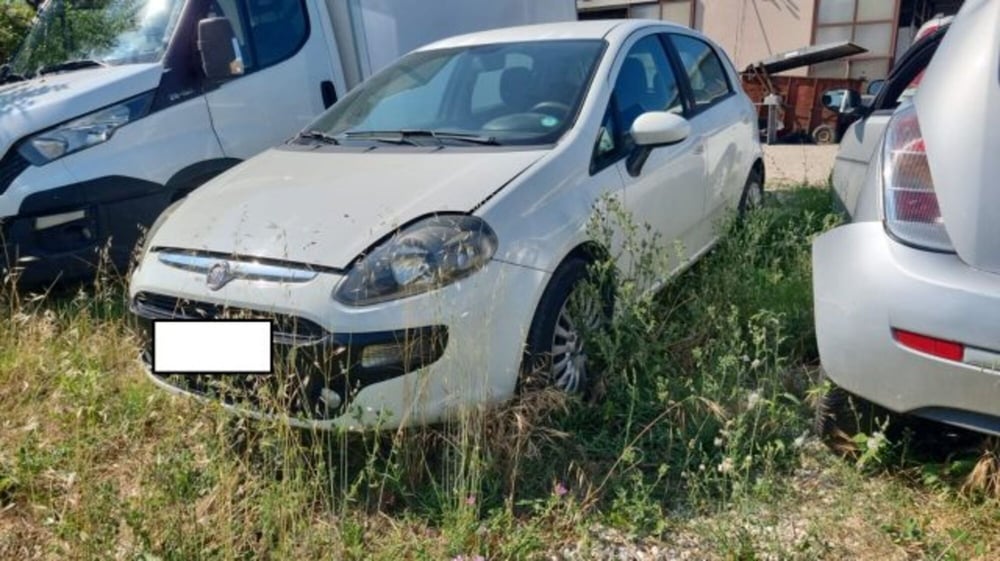 Fiat Punto Evo usata a Lodi (2)