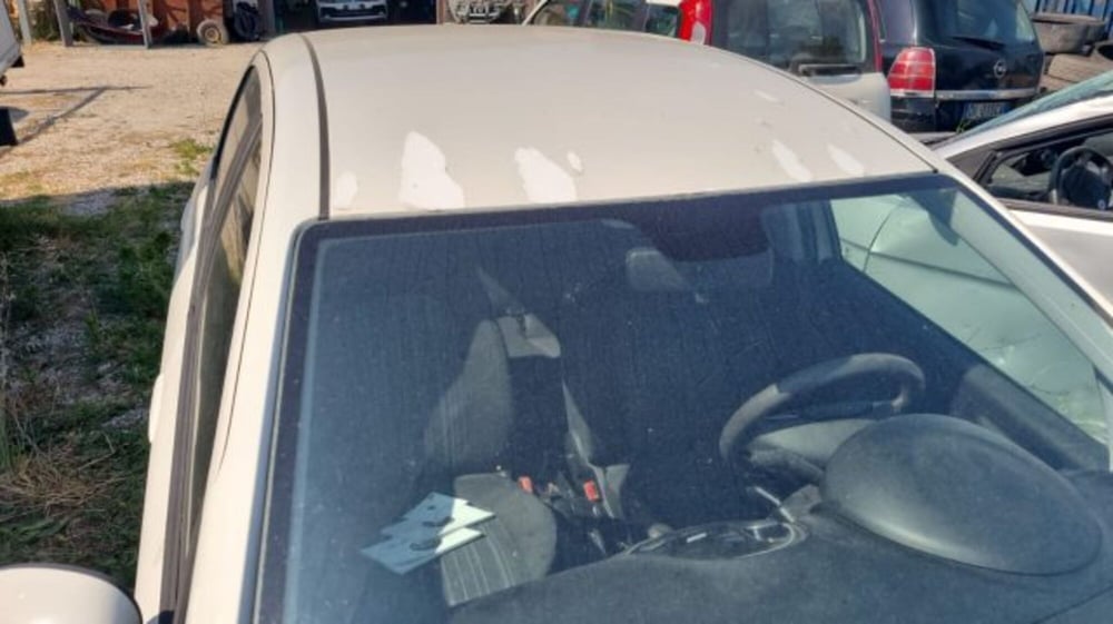 Fiat Punto Evo usata a Lodi (8)