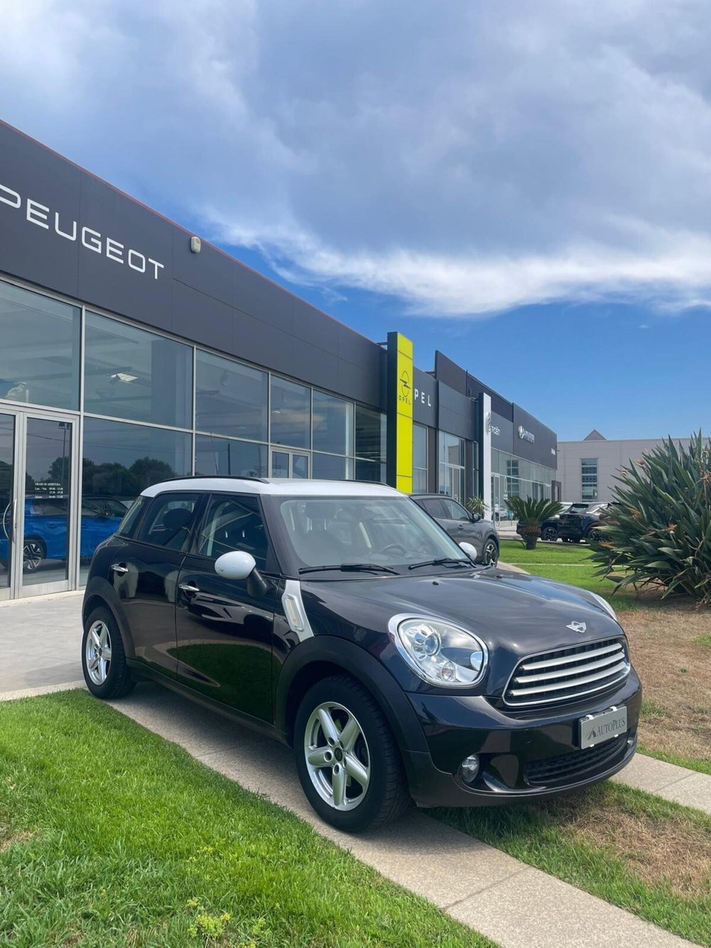 MINI Mini Countryman usata a Sassari (5)
