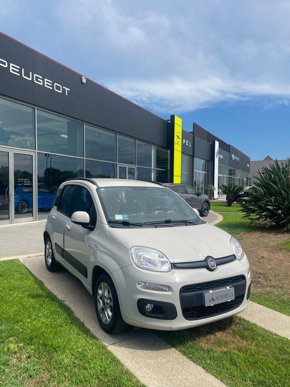 Fiat Panda usata a Sassari