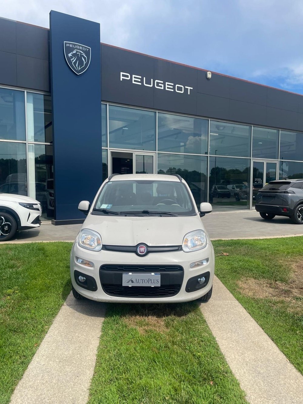 Fiat Panda usata a Sassari (3)
