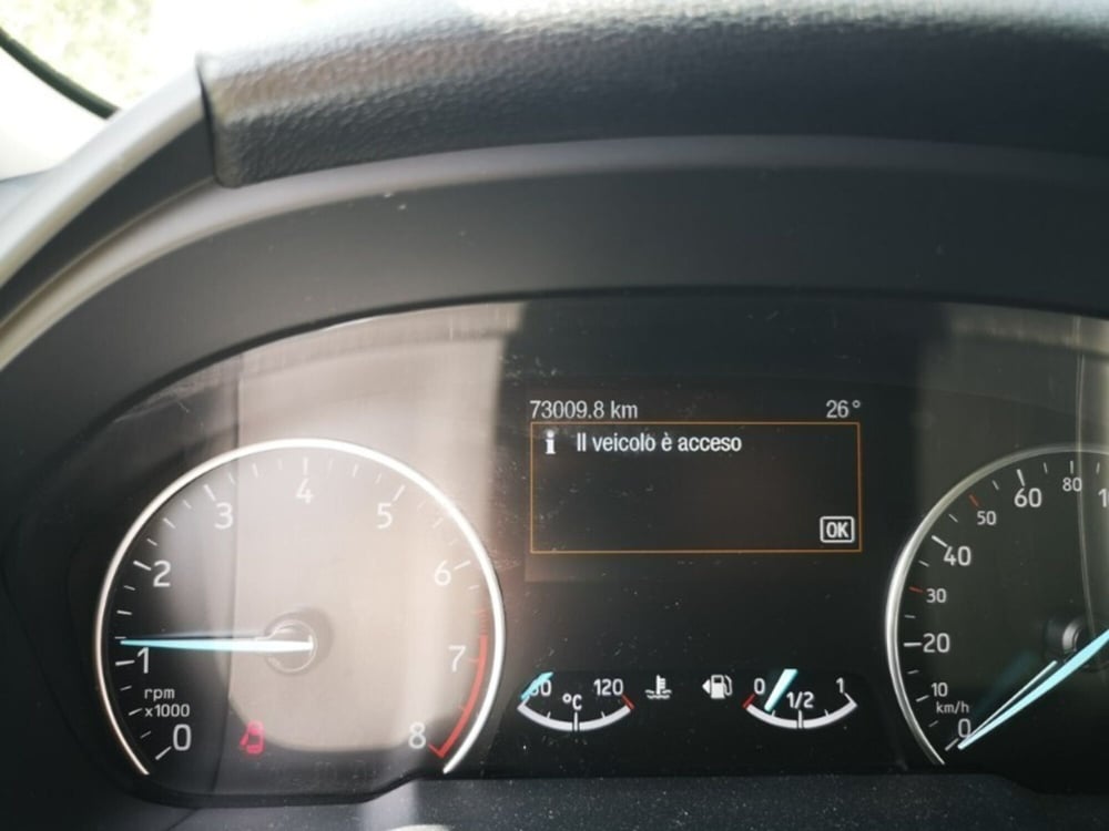 Ford EcoSport usata a Cosenza (6)