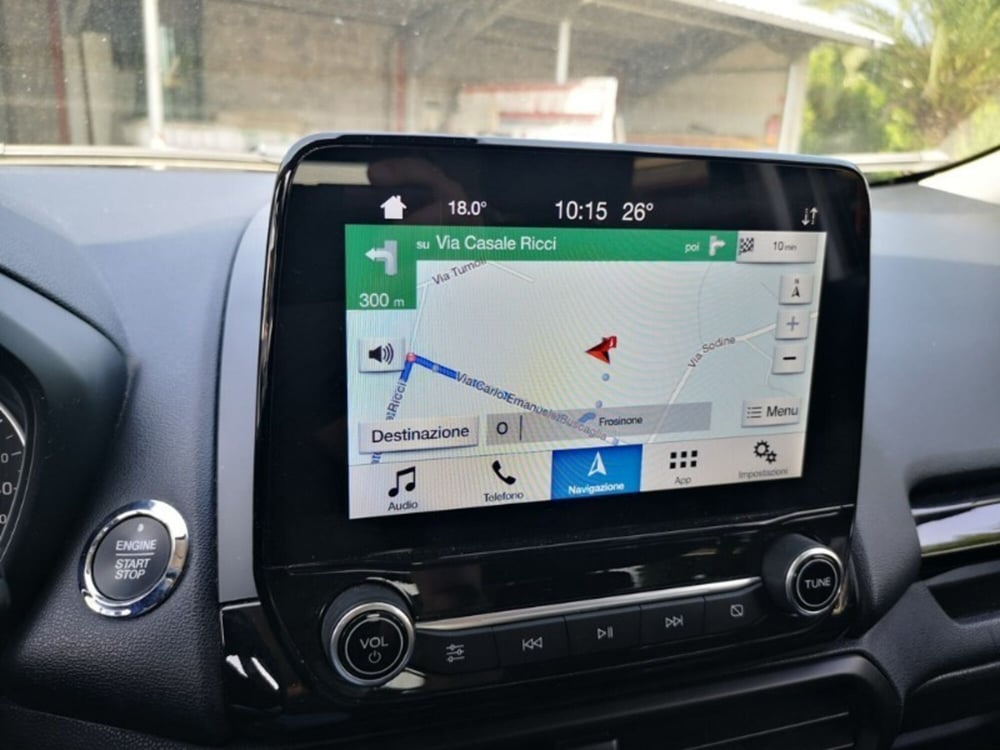Ford EcoSport usata a Cosenza (7)