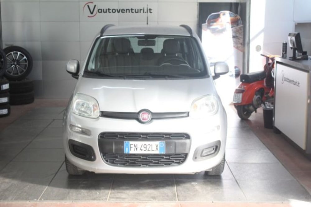 Fiat Panda usata a Viterbo (2)