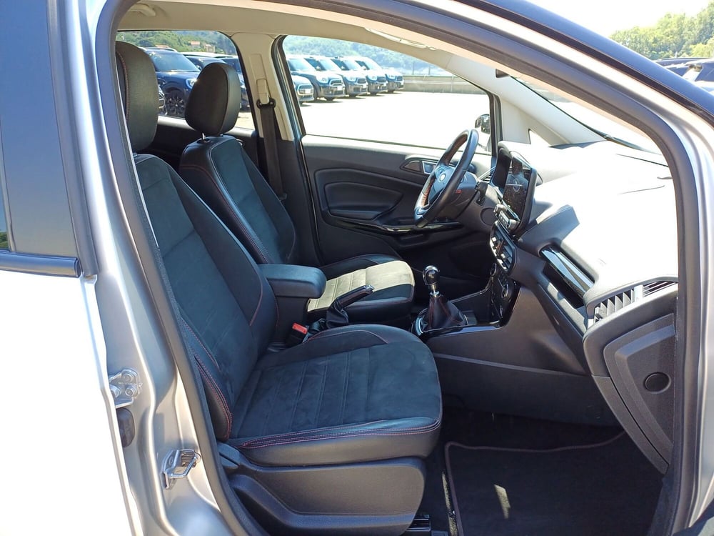Ford EcoSport usata  (10)