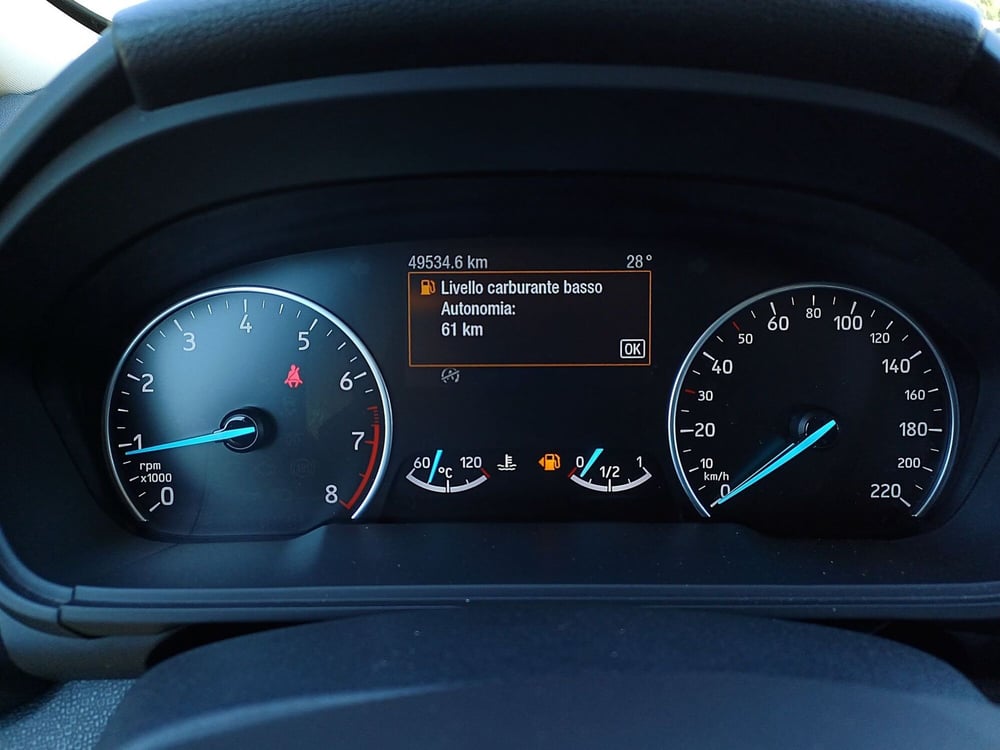 Ford EcoSport usata  (15)