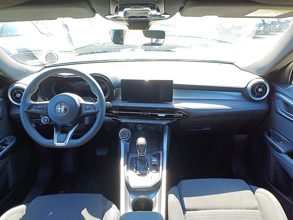 Alfa Romeo Tonale usata  (8)