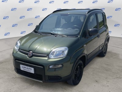 Fiat Panda 0.9 TwinAir Turbo S&amp;S 4x4 Wild del 2021 usata a Pistoia
