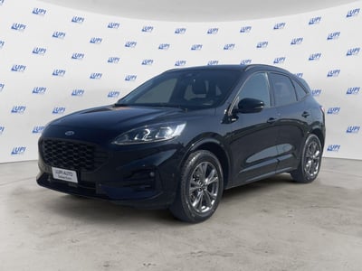 Ford Kuga 2.0 EcoBlue 120CV aut. AWD ST-Line X del 2023 usata a Pistoia
