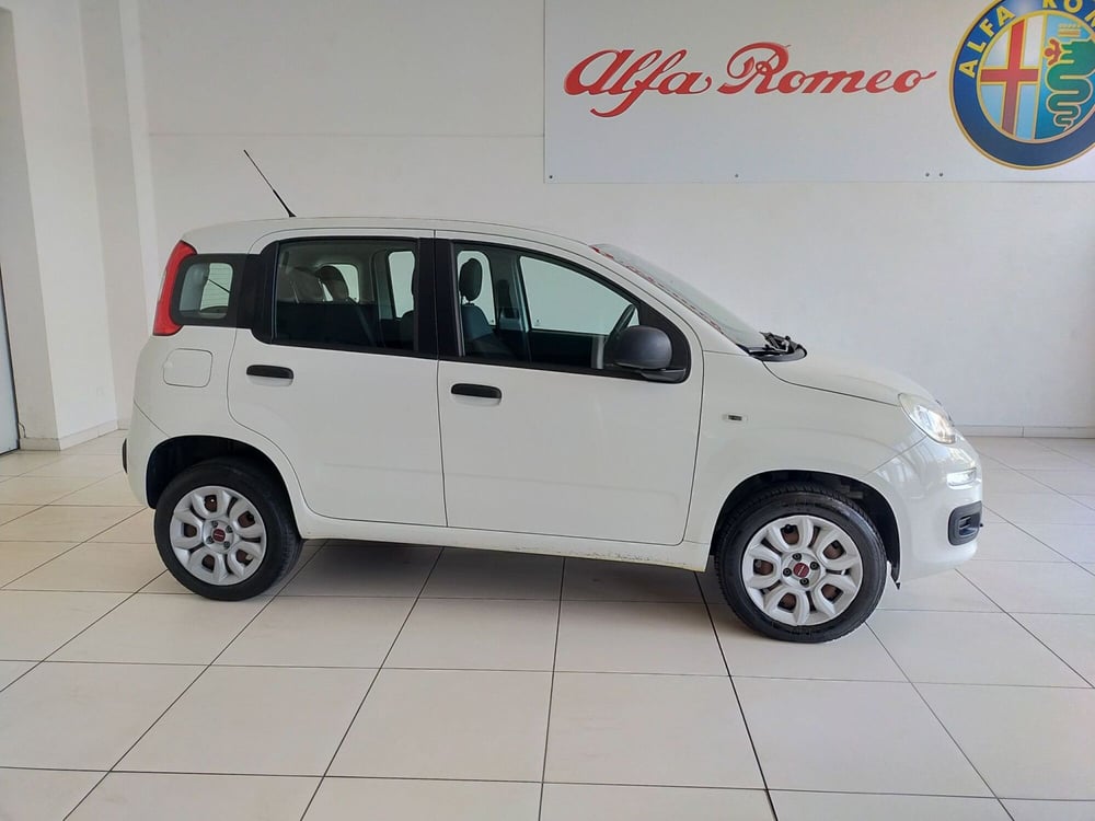 Fiat Panda usata a Reggio Emilia (4)