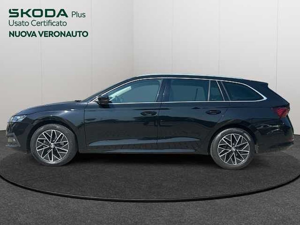 Skoda Octavia usata a Verona (2)
