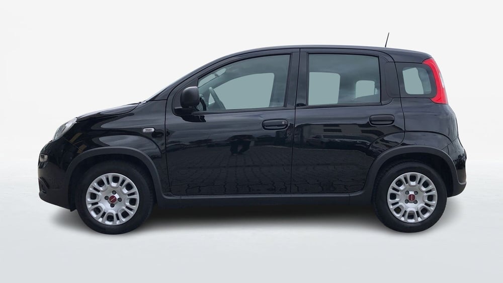Fiat Panda usata a Parma (2)