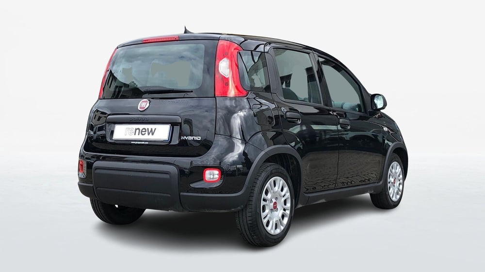 Fiat Panda usata a Parma (3)