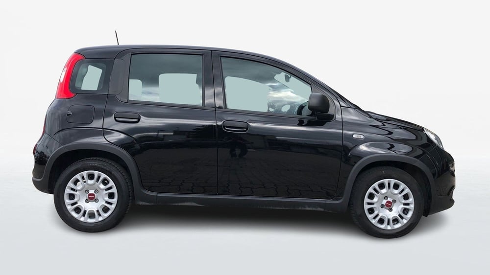 Fiat Panda usata a Parma (4)