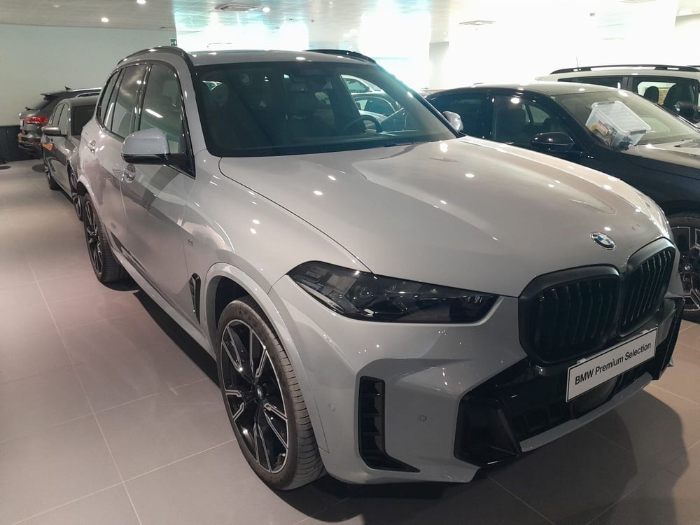 BMW X5 usata a Asti (3)