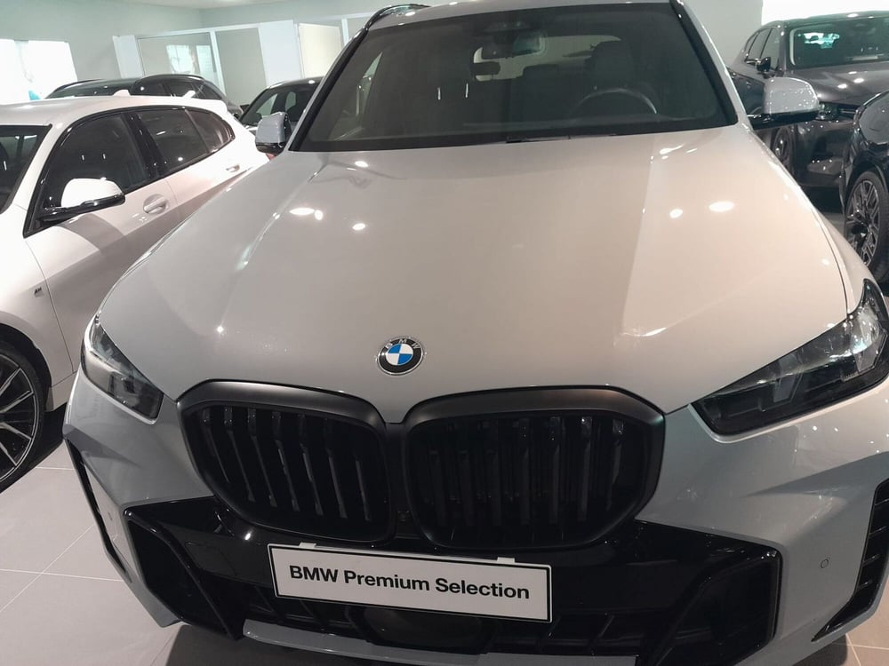 BMW X5 usata a Asti (7)