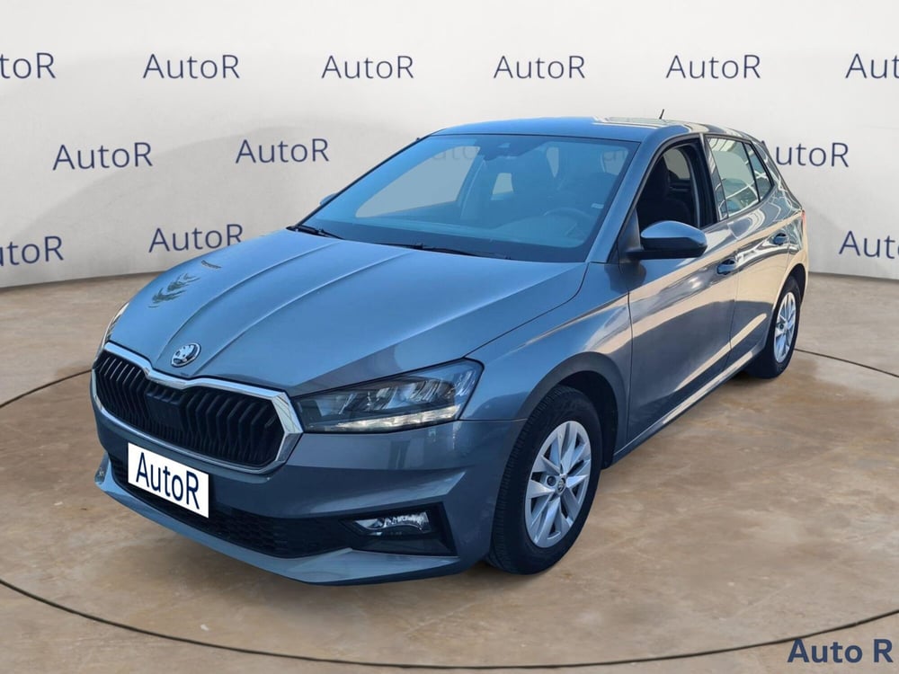 Skoda Fabia usata a Potenza