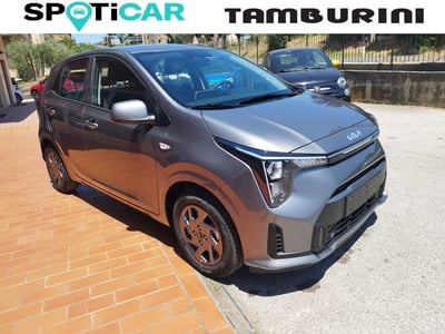 Kia Picanto 1.0 12V Easy nuova a Cortona