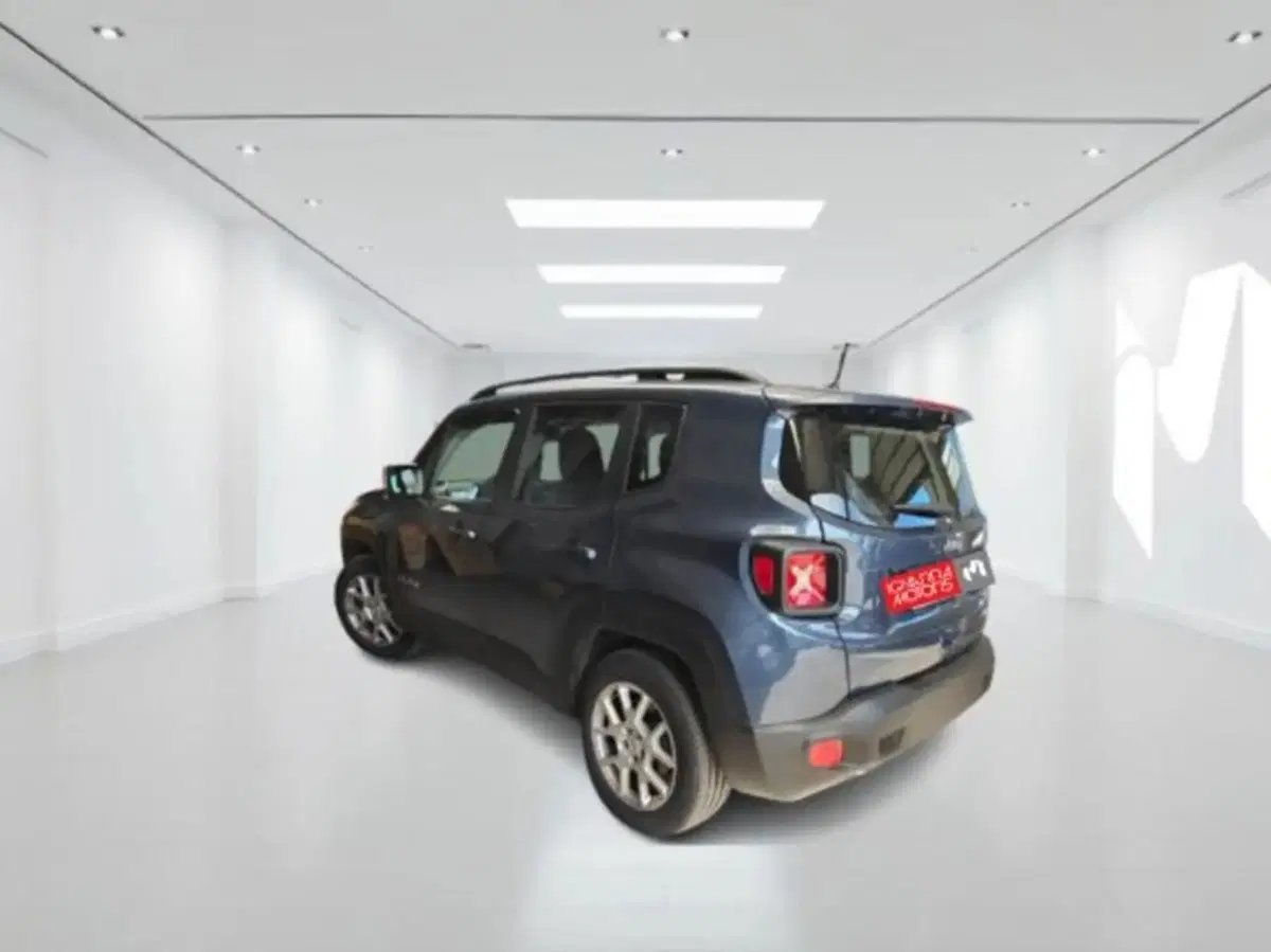 Jeep Renegade usata a Latina (2)