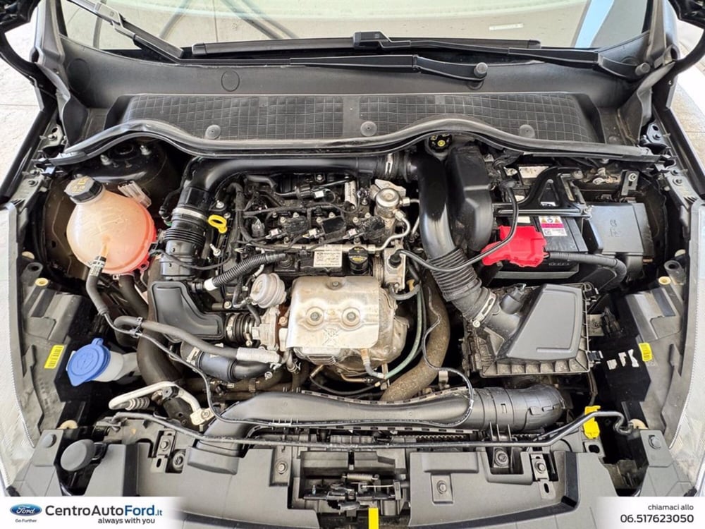 Ford Fiesta usata a Roma (12)