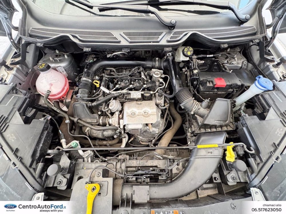 Ford EcoSport usata a Roma (12)