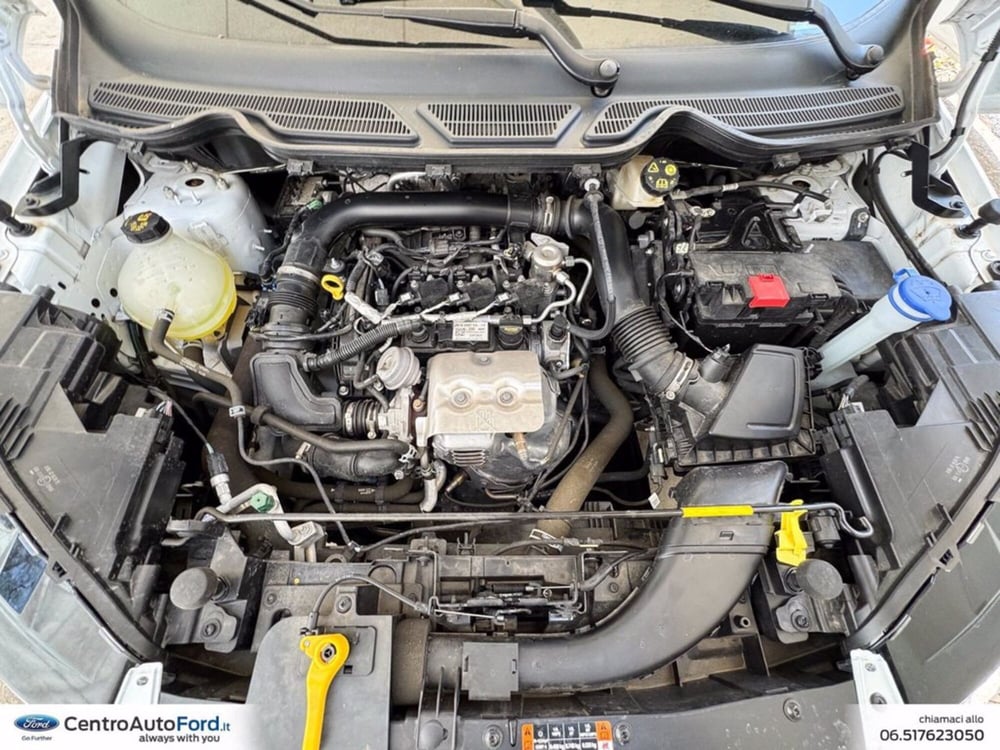 Ford EcoSport usata a Roma (12)