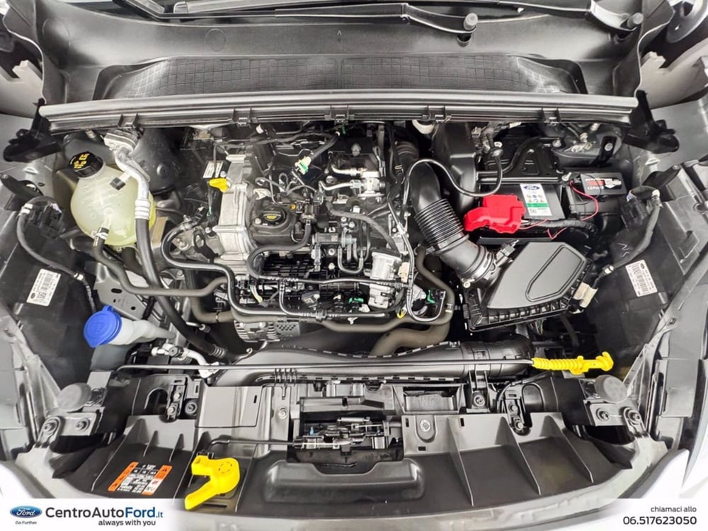 Ford Puma usata a Roma (12)