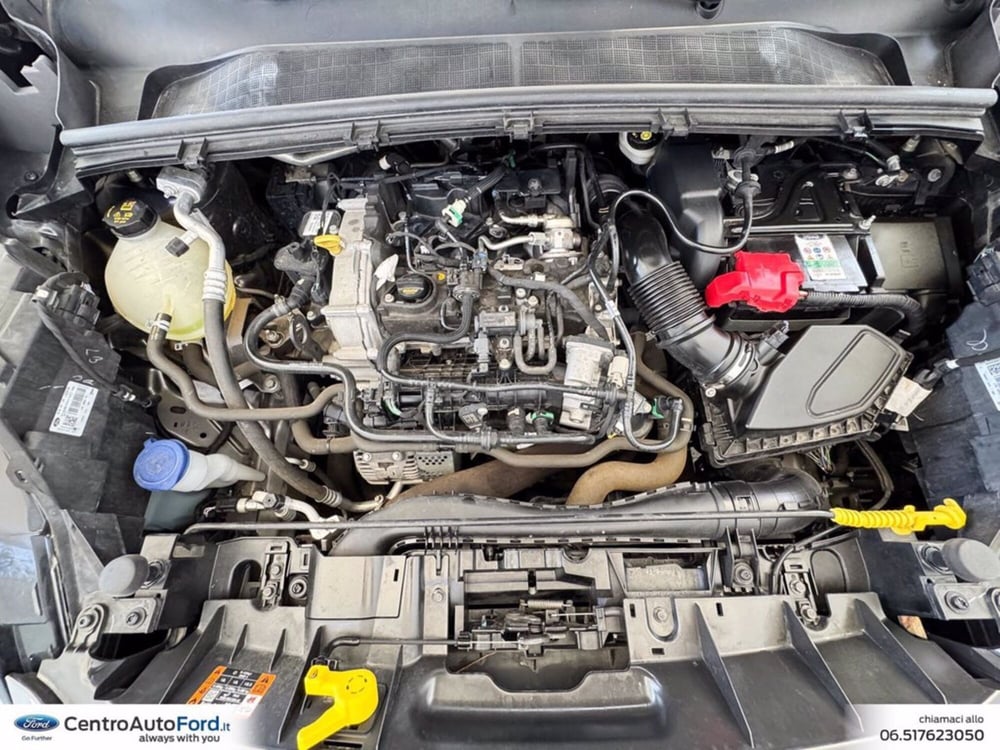Ford Puma usata a Roma (12)