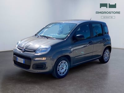Fiat Panda Cross Cross 1.0 FireFly S&amp;S Hybrid del 2022 usata a Milano