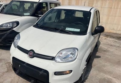 Fiat Panda 1.0 firefly hybrid Pop s&amp;s 70cv del 2024 usata a Tricase