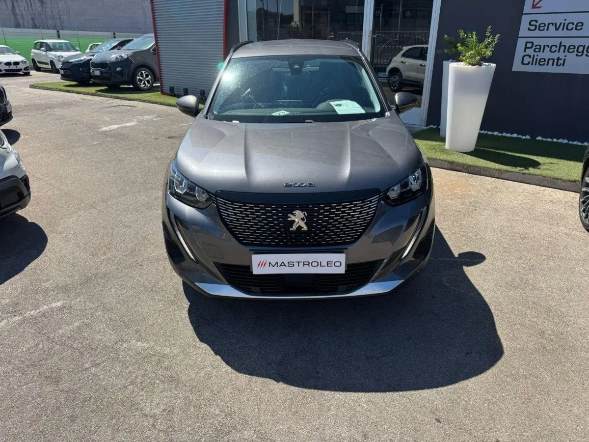 Peugeot 2008 usata a Lecce (4)