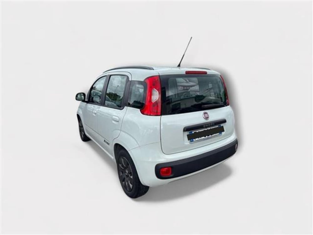 Fiat Panda usata a Livorno (3)